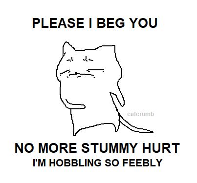 a simple drawing of a cat with a miserable pinched face holding its torso. accompanying text reads, "please i beg you, no more stummy hurt, i'm hobbling so feebly."