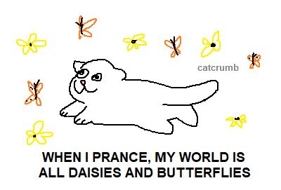 text reads, "when i prance, my world is all daisies and butterflies." a simple drawing of a prancing cat surrounded by daisies and butterflies.