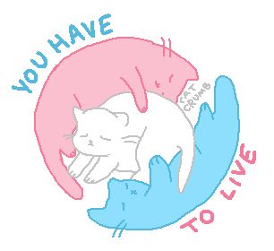 a simple drawing of three cats curled up together, each a shade of the trans pride flag. accompanying text reads, "you have to live".