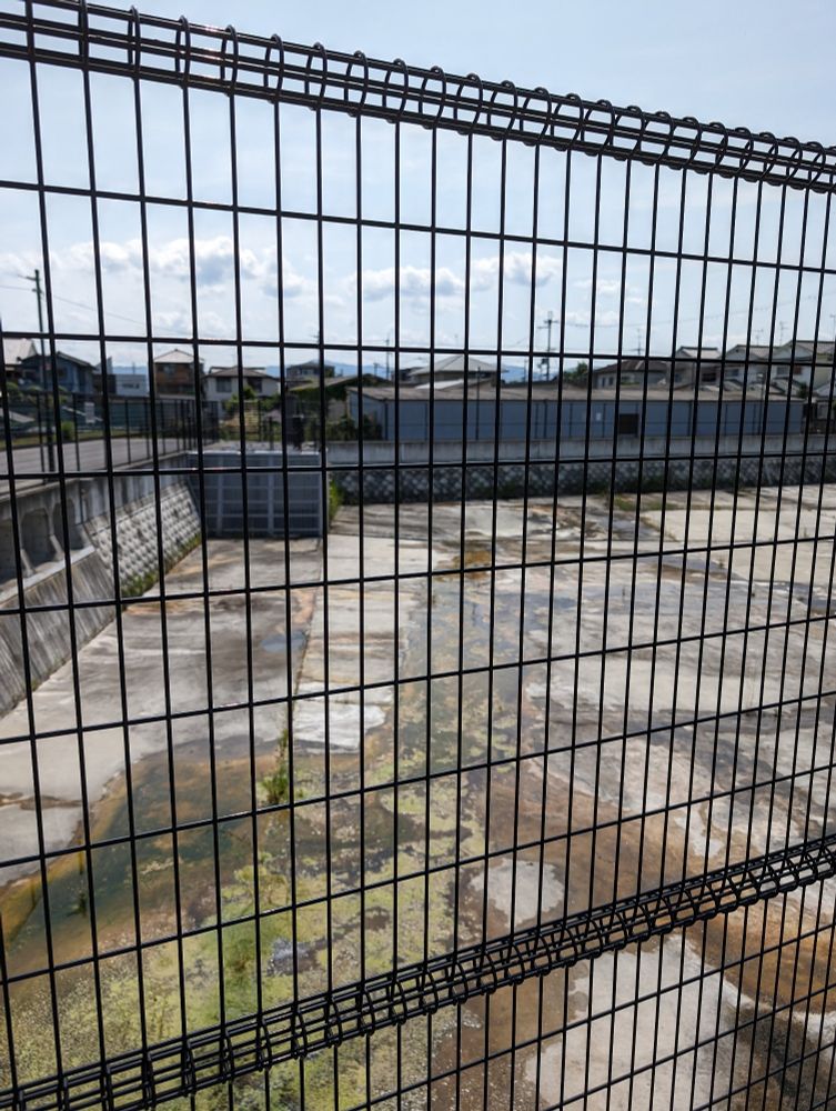 郡山城 外堀跡 小川町裏池
…だと思う