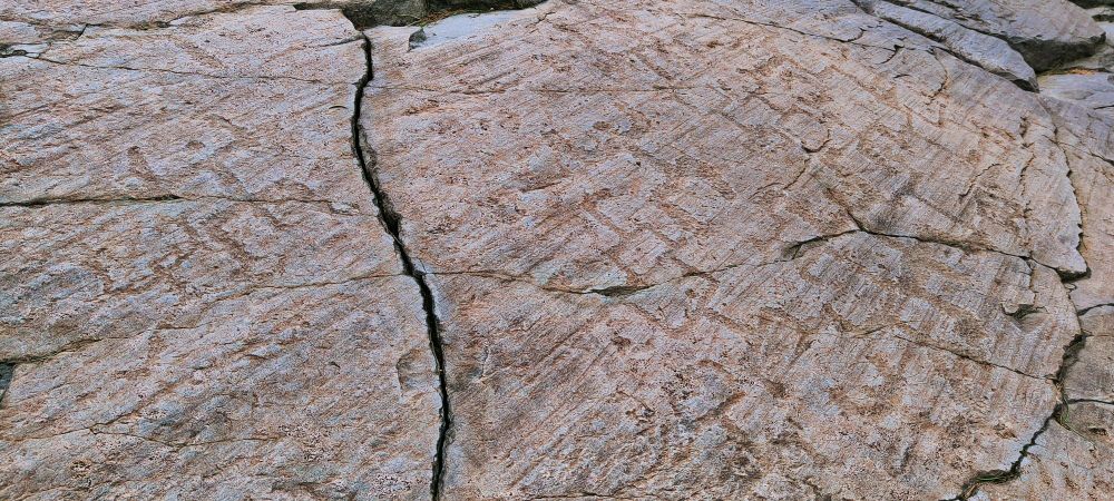 Incisioni rupestri - Parco Archeologico di Naquane Valle Camonica 