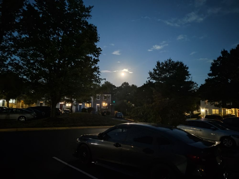 That is one sexy moon 
So bright in the sky