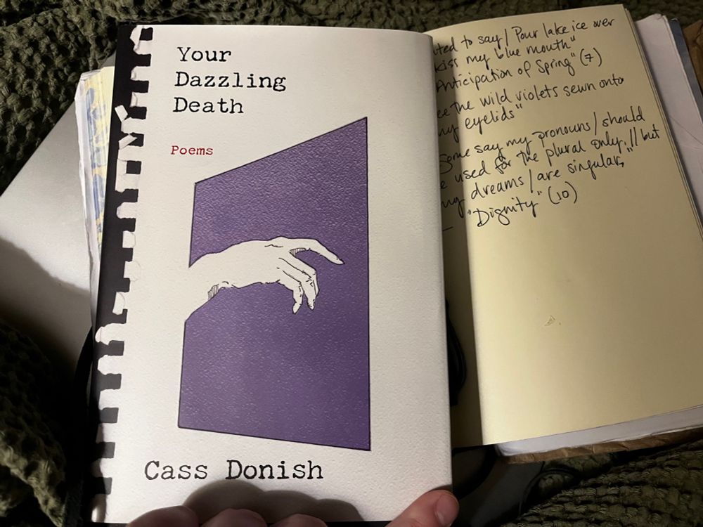 Photograph of the book Your Dazzling Death by Cass Donish