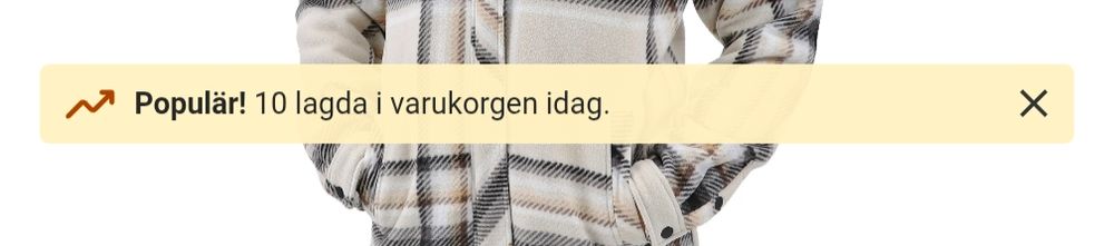 En liten textruta över produktbilden där det står "Populär! 10 lagda i varukorgen idag"