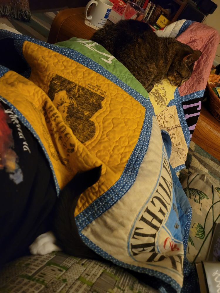 Two cats on a T-shirt quilt. A tuxedo cat with white paws is under the blanket with a paw and tail sticking out.