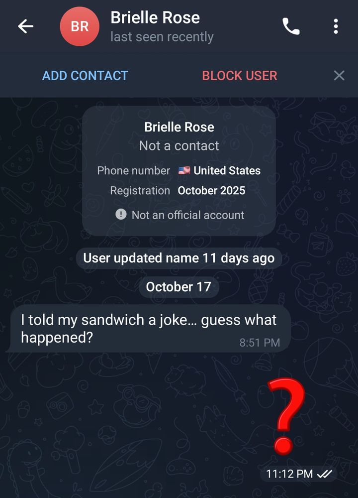 "Brielle Rose" messages me out of the blue and says "I told my sandwich a joke... guess what happened?" I respond with a ❓