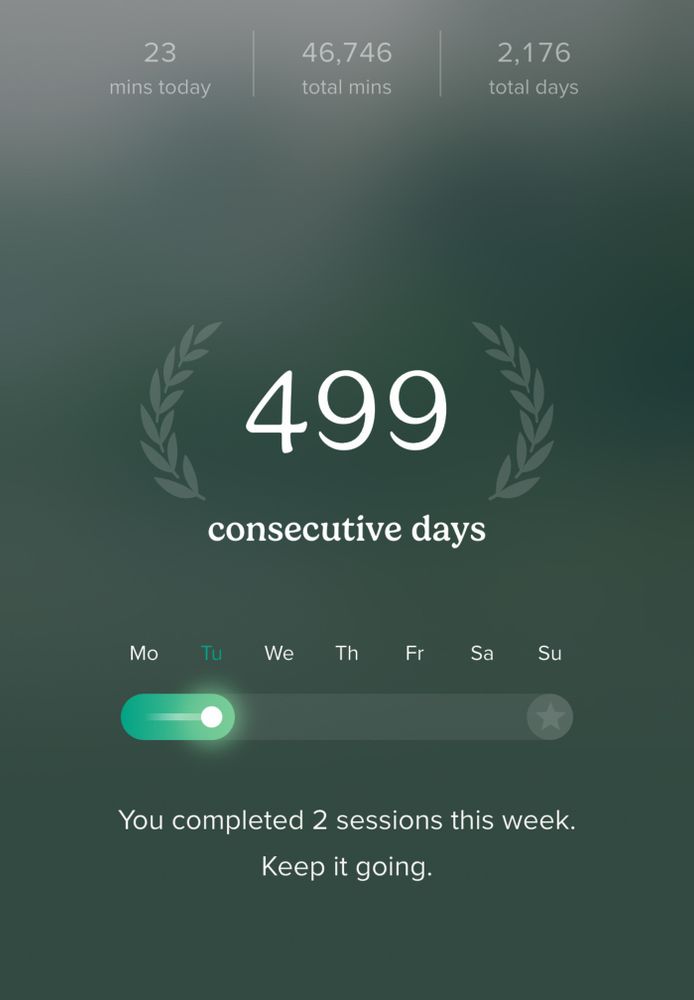 Screen capture from insight timer showing 499 consecutive days of mediation