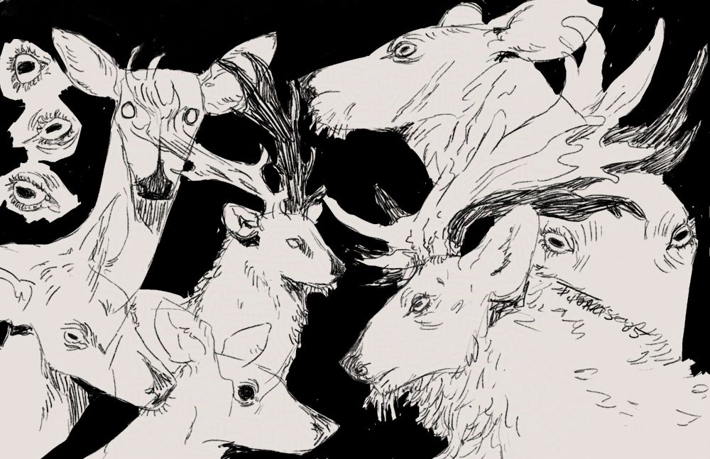 Black and white digital sketchpage of various stags, a fawn, and some does. Assorted deer eyes are scattered on each side.