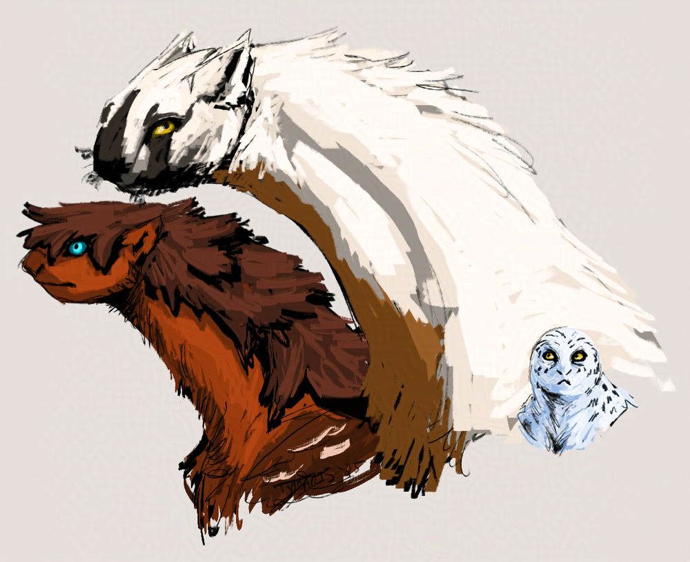 more comparison between three of the size variants, with the polar variant being way smaller