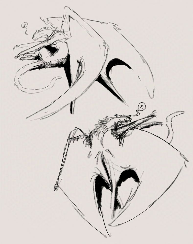 sketches of the desert character (Faye) sleeping