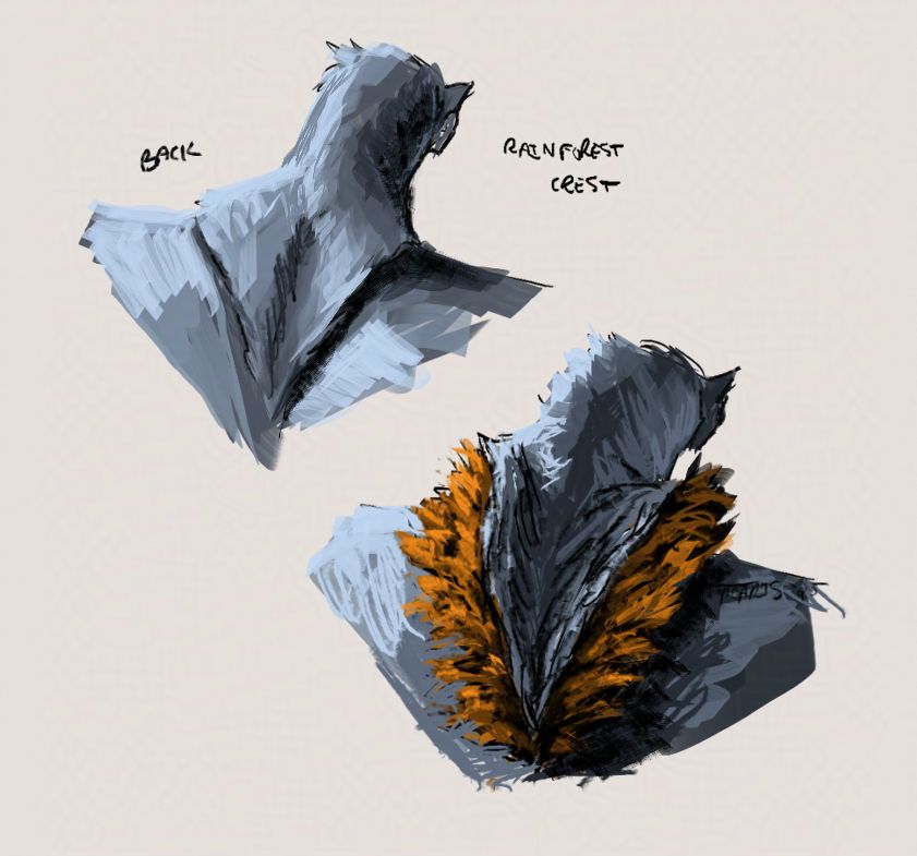 concept of a feathery crest belonging to rainforest type volan