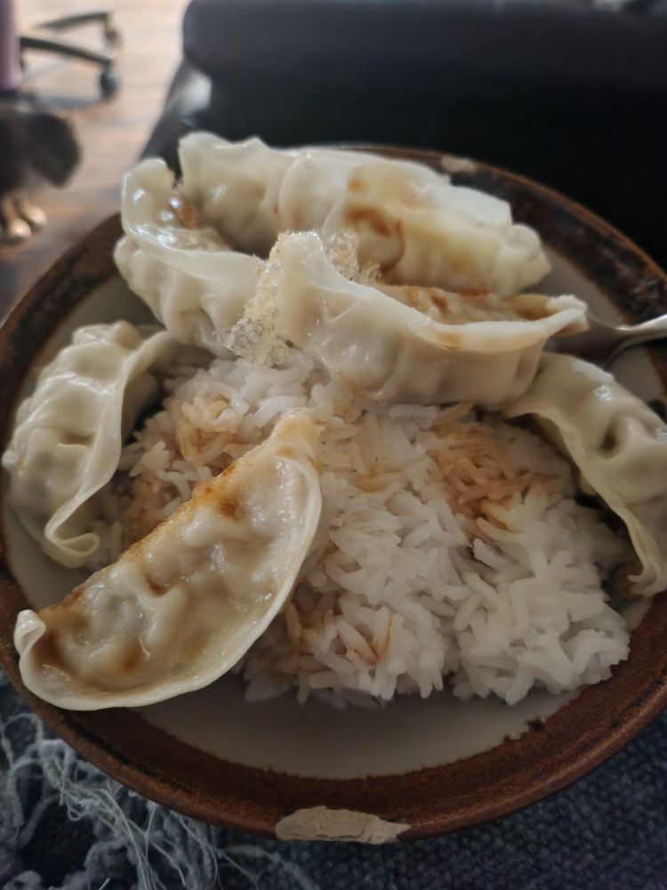 A bowl sits on top of a lap. Inside the bowl is white rice with dumplings on top.