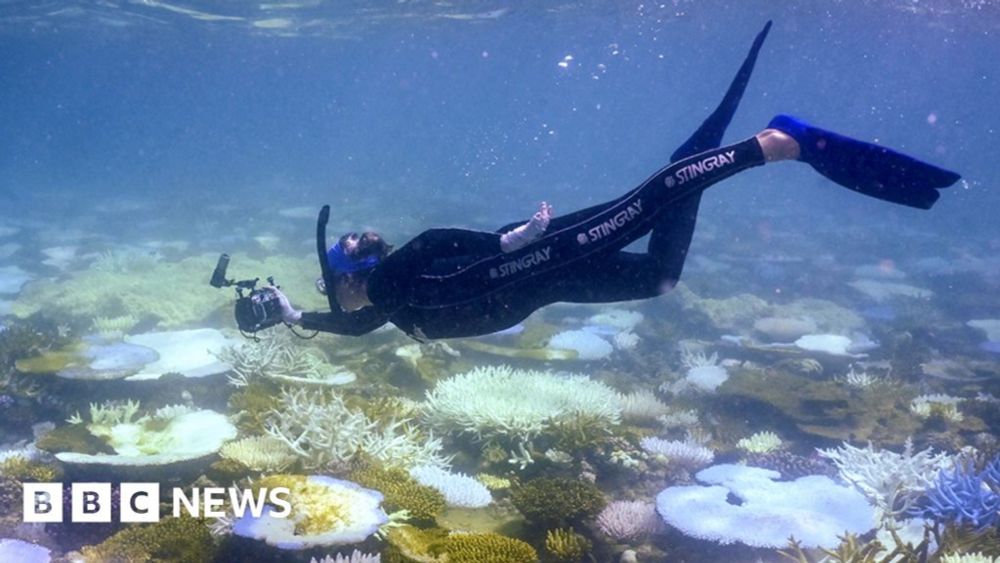 Climate change: World's oceans suffer from record-breaking year of heat