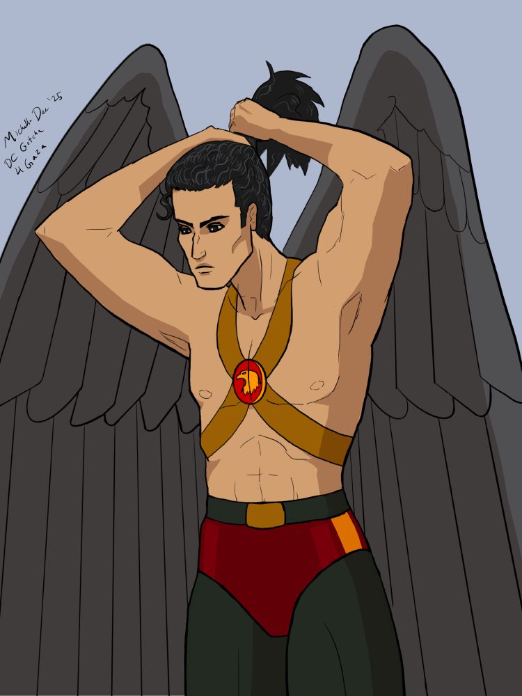 Hawkman with JLU outfit