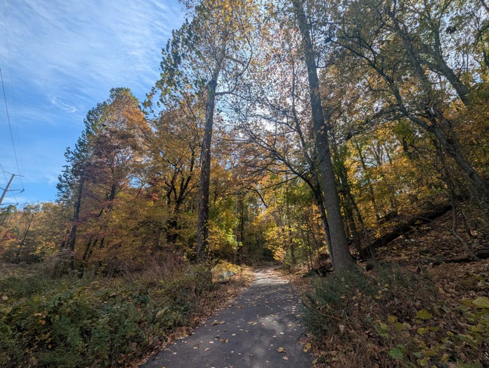 A pathway going into some Autumn colored trees.