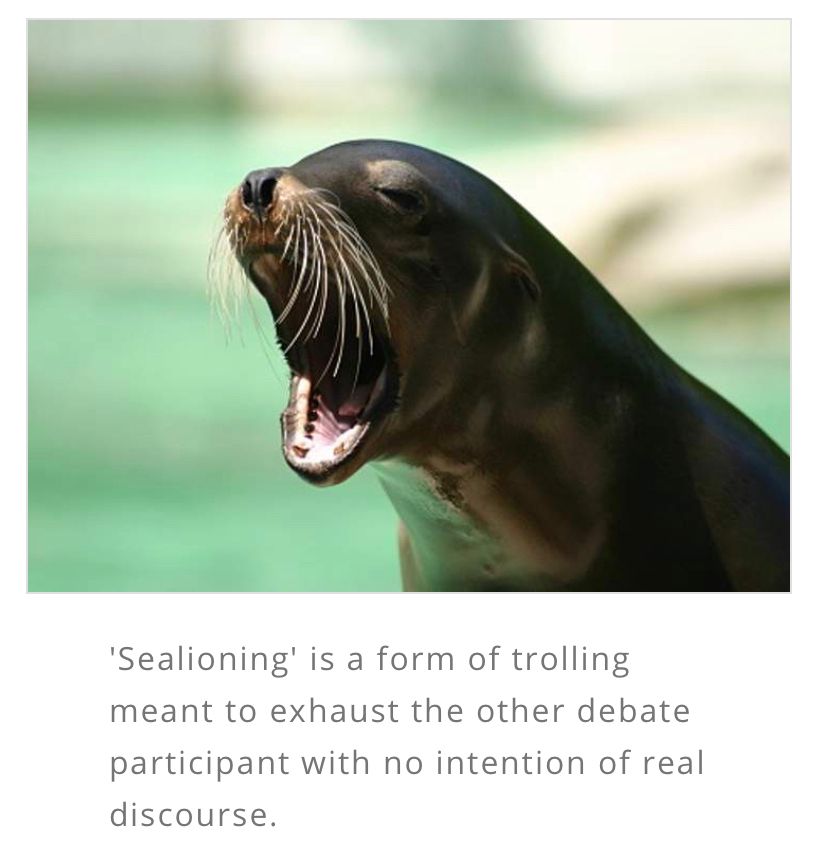 A sea lion with mouth open