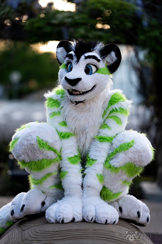 Fibre, a white tiger fursuit with green stripes and a happy toony face, squats on top of a round rock, all four paws on the rock in a squat sitting position, gazing absentmindedly just off camera.