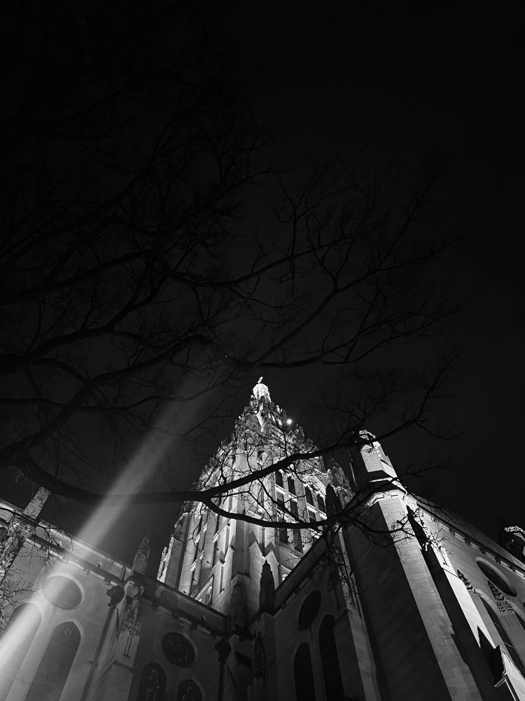 A black and white photo of a lit up church with a tree in front of it.