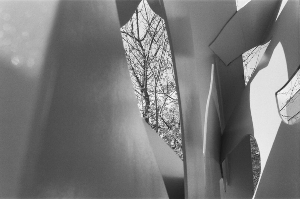 A black and white photo of an art installation with a tree visible through it.