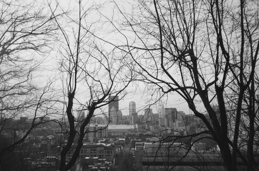 A black and white photo of the Pittsburgh skyline through tree branches.