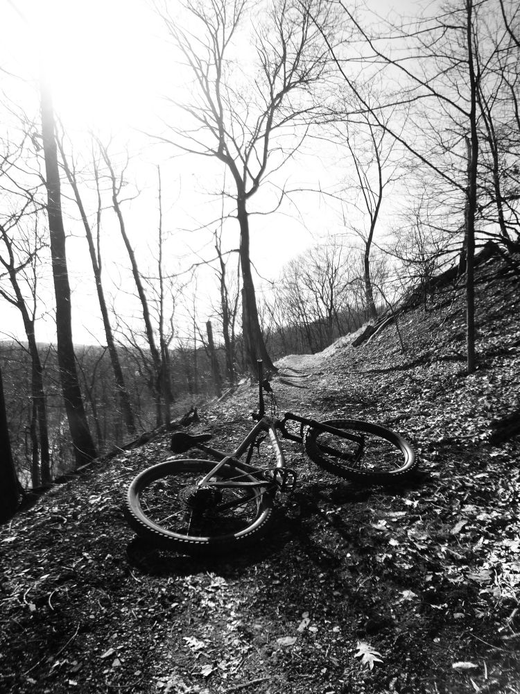 A black and white photo of a mountain bike lying on a singletrack trail with dead trees in the distance.