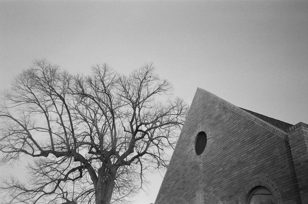 A black and white photo of a tree and the top of a church.