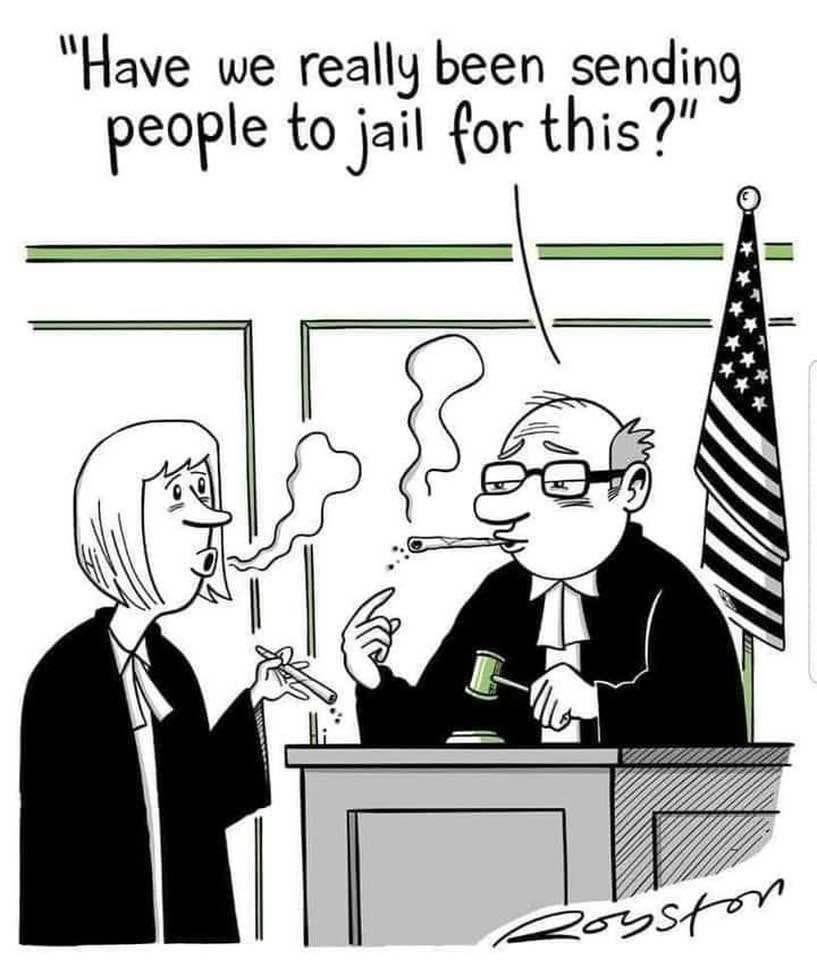 Cartoonist Royston Robertson
