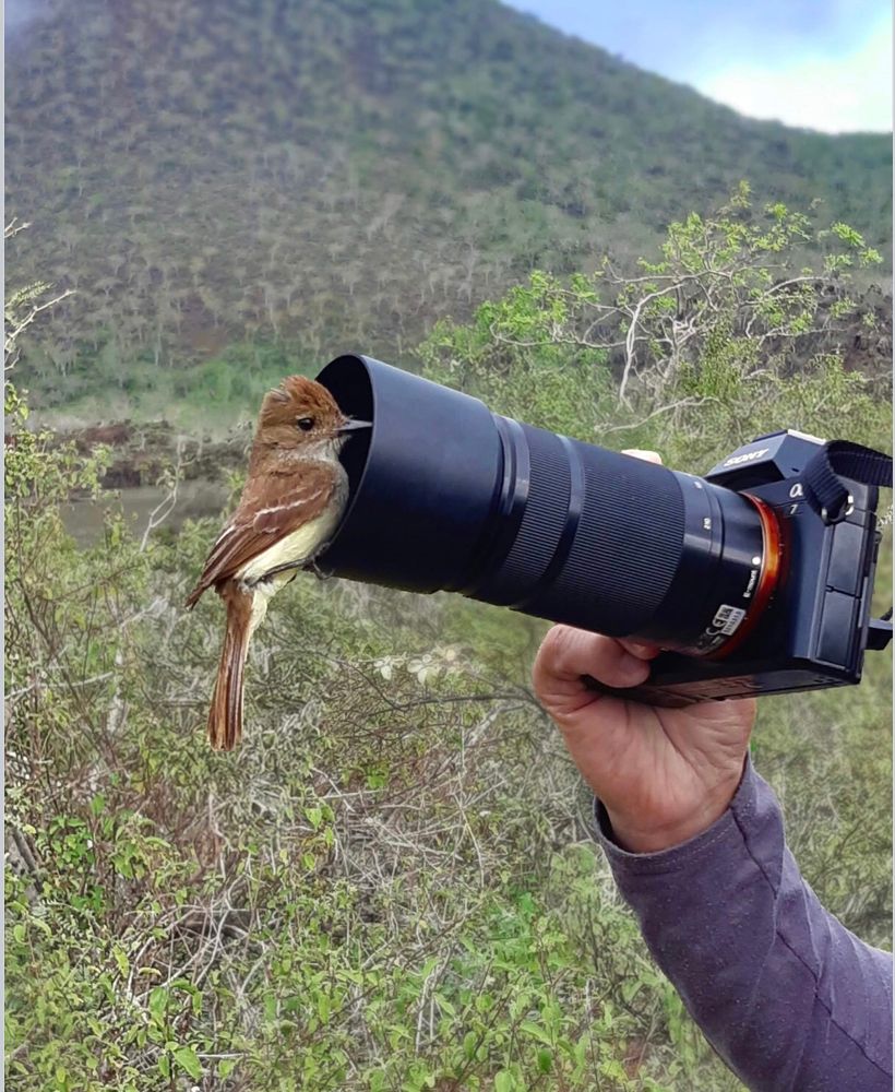 While shooting a bird it landed on lense 
