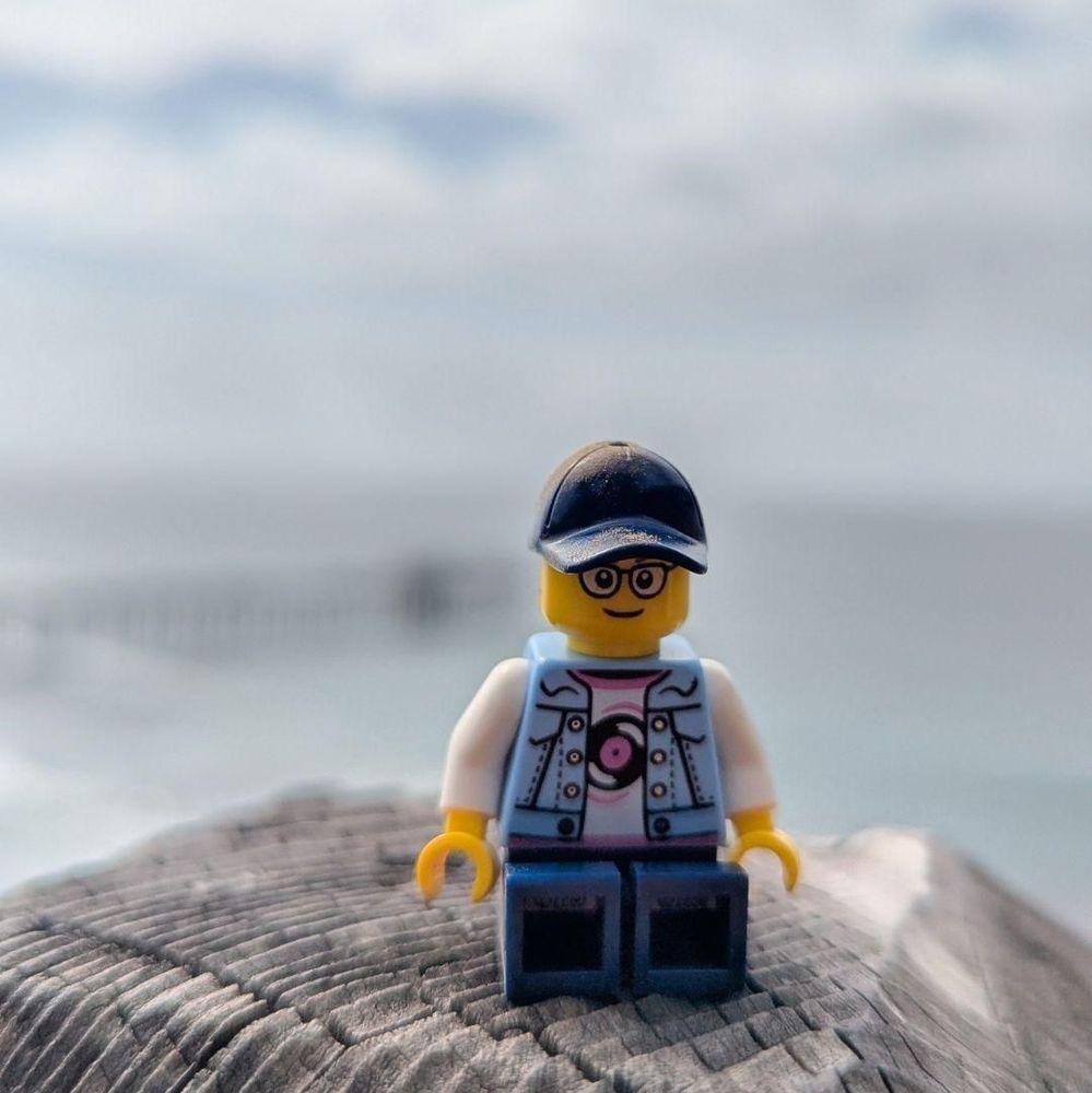 LEGO minifig sitting on a wood post with UC San Diego's Scripps Institution of...
