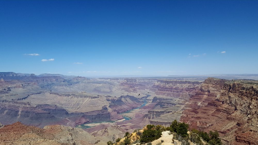 A view of the Grand Canyon, deepening blue sky above strata ranging from rusty red to magenta to lavender, above the dark teal ribbon of the Colorado River. Two black birds swoop and dive above the river.