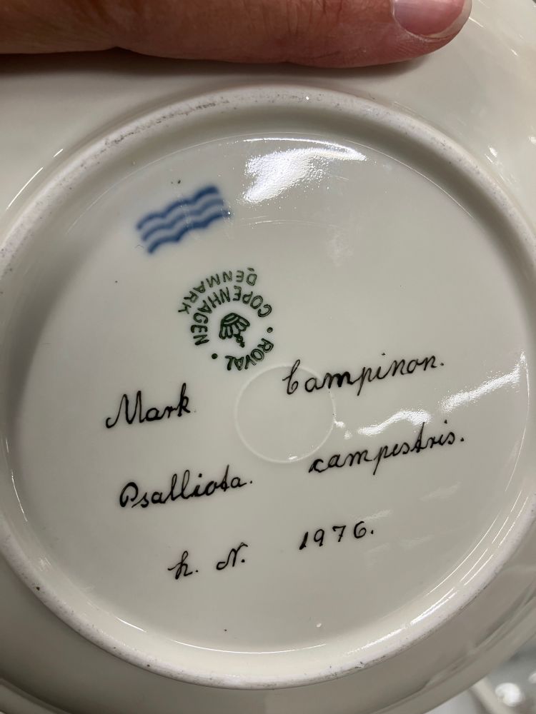 Back of plate with Royal Copenhagen logo and Mark campinon, Psalliola campestris