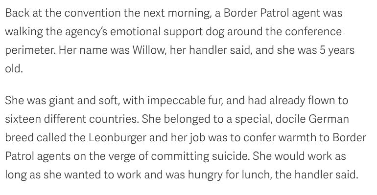 Back at the convention the next morning, a Border Patrol agent was walking the agency’s emotional support dog around the conference perimeter. Her name was Willow, her handler said, and she was 5 years old.

She was giant and soft, with impeccable fur, and had already flown to sixteen different countries. She belonged to a special, docile German breed called the Leonburger and her job was to confer warmth to Border Patrol agents on the verge of committing suicide. She would work as long as she wanted to work and was hungry for lunch, the handler said.