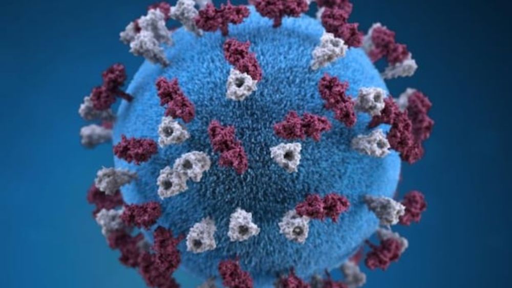 Ottawa Public Heath is warning people at three Bank Street businesses, a movie theatre, a gym, and a craft store that they may need to take action against a potential measles exposure.