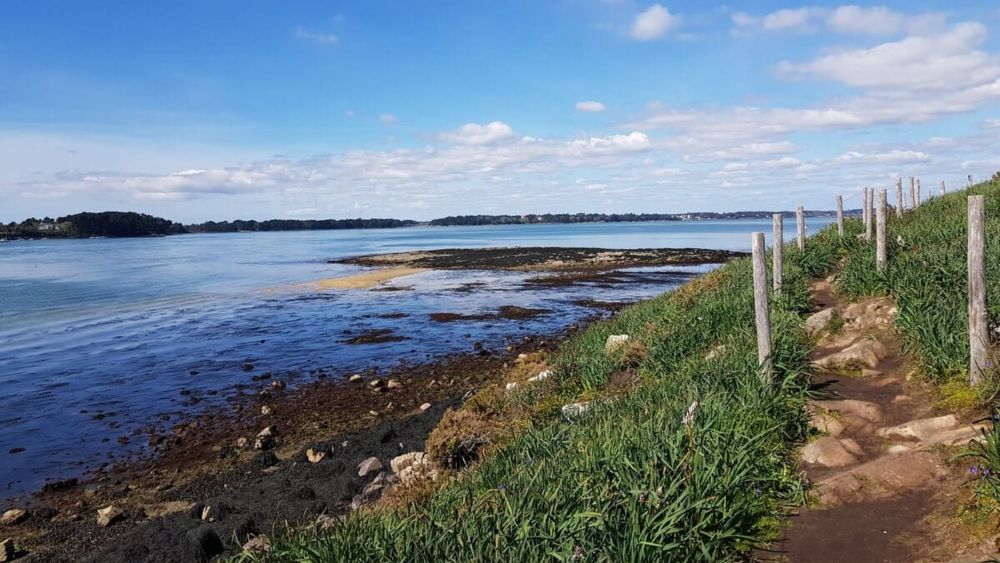 Ile aux Moines : randonnée jusqu'à la pointe du Nioul