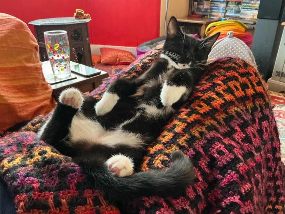 A black and white tuxedo kitten lying on his back on a crocheted blanket in my husband’s lap. He is fast asleep with his paws up in the air, his front paws slightly curled, living his absolute best life.