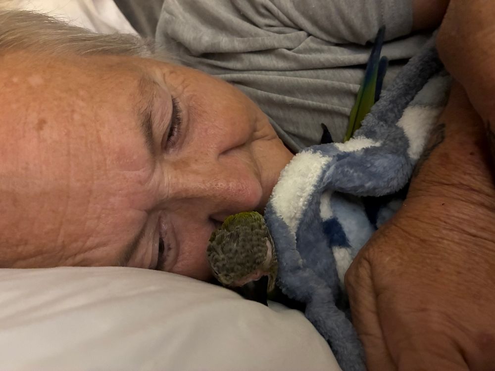 my mom cuddling with her dusky conure, sammy
