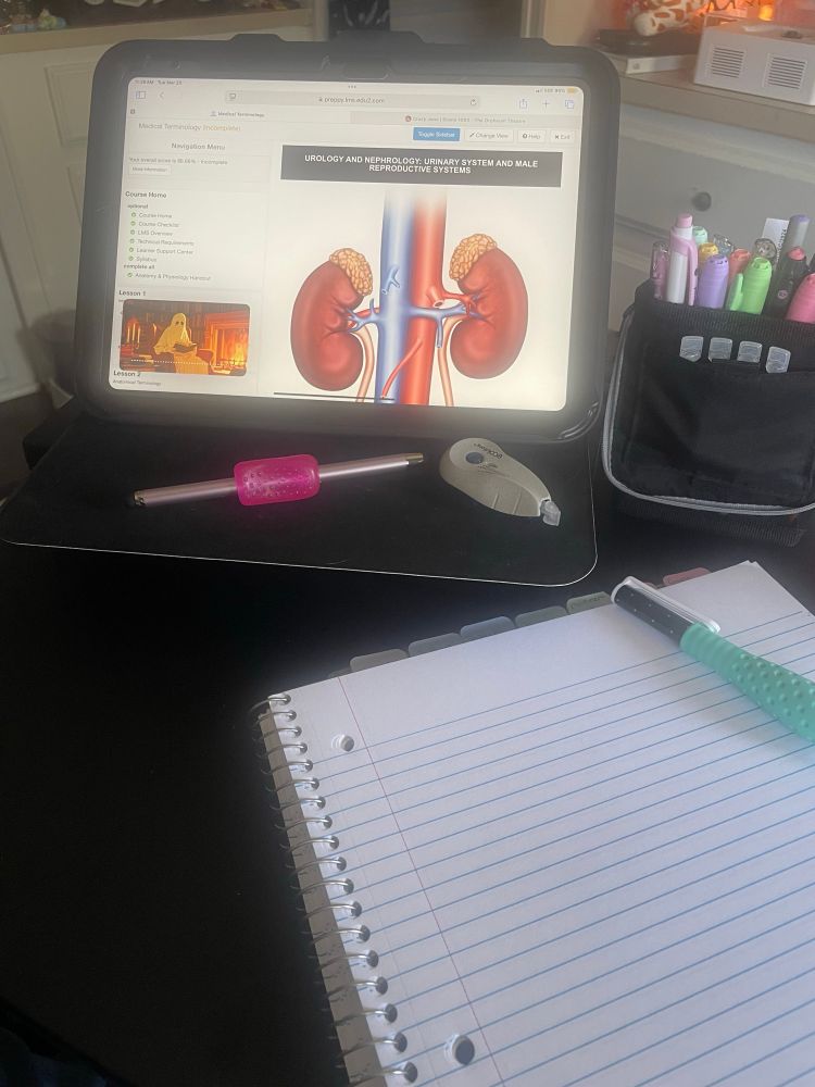 study space; an ipad, notebook, & a pencil holder filled with pencils, highlighters, and a pen or two idk