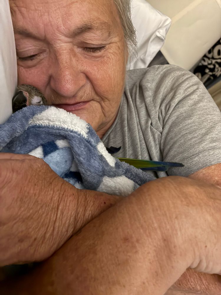 my mom cuddling with her dusky conure, sammy