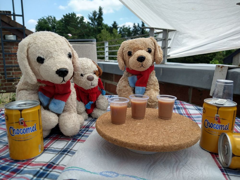 Dieselbe Szene wie im letzten Bild, man sieht aber etwas mehr von uns Hundis und dem Tisch. Monty lächelt jetzt genau in die Kamera, als wollte er etwas sagen.