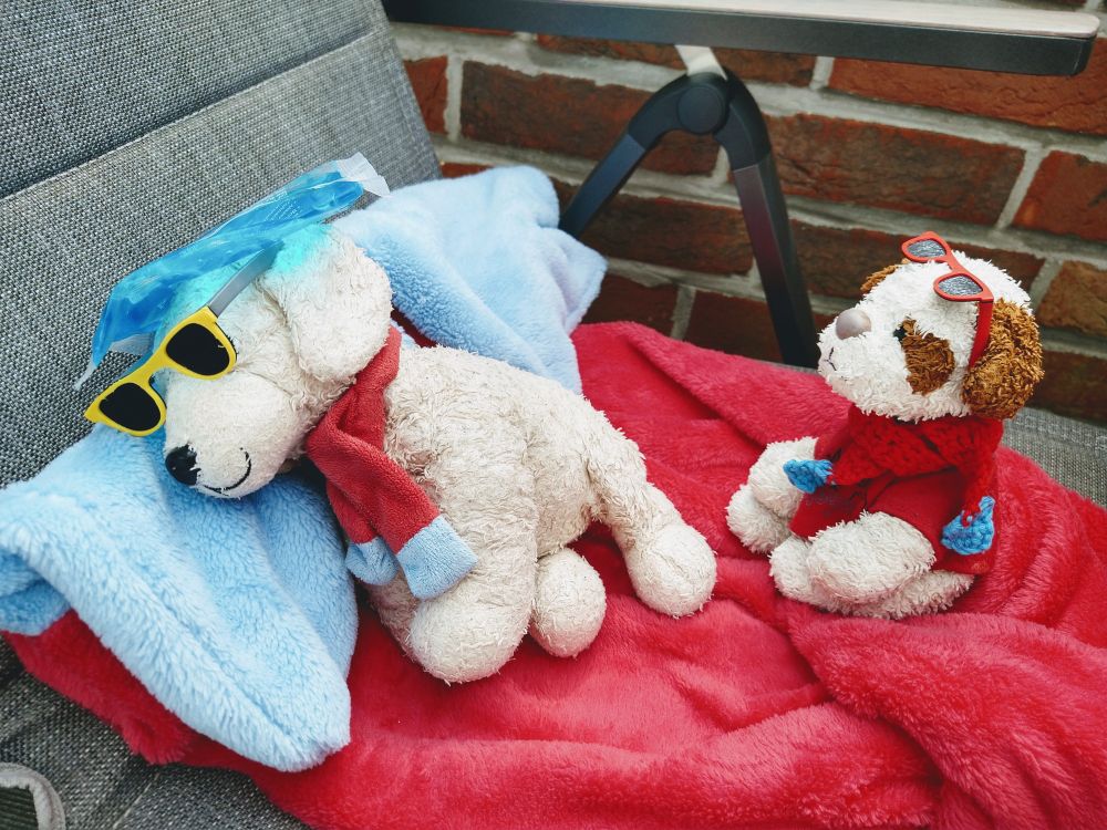 Hundi hat sich mit Sonnenbrille und Külpack auf die Seite gedreht, von Flecki weg.