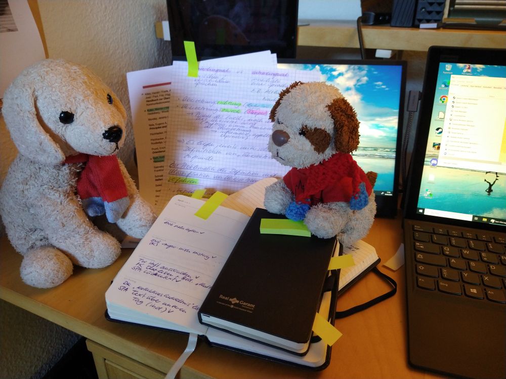 Hundi und Flecki, also wir, zwei Plüschhunde, sitzen vor einem Laptop-Computer auf einem Stapel Notizbücher und Handschriftlichen Zetteln.
Auf einigen davon kleben gelbe Lesezeichen. Flecki hat einen kleinen Stapel der Klebelesezeichen vor sich.