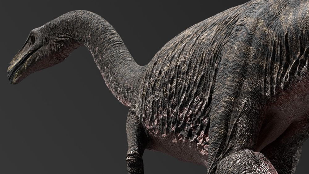 Reconstruction of Deltadromeus agilis as a carnivorous noasaurid. Colour scheme inspired by Tigrisoma heron species - ochre with darker mottled spots and stripes, a darker grey head and yellow facial markings.