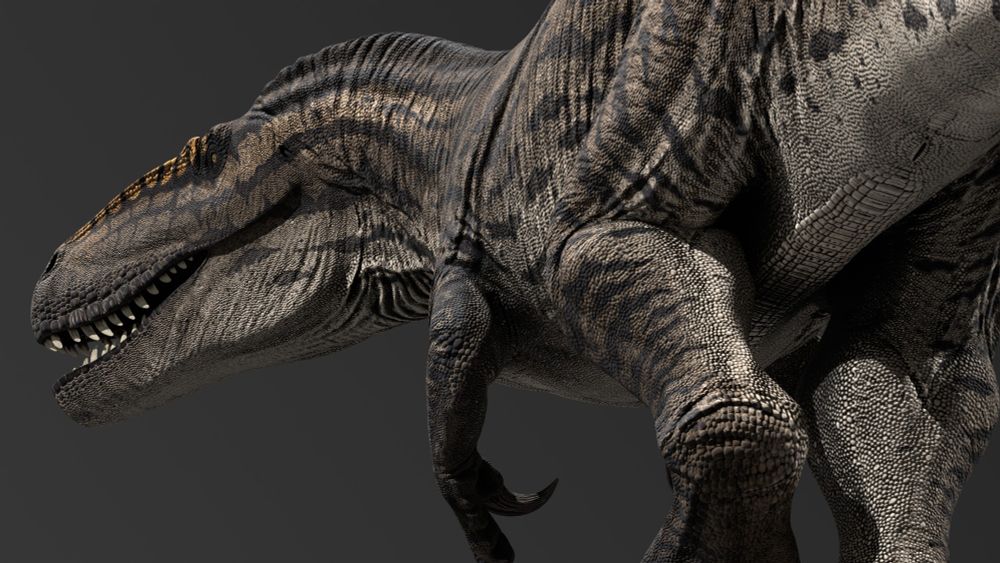 Rendered 3D reconstruction of the Jurassic theropod Torvosaurus tanneri, light brown colour with a cream underbelly and broken-up horizontal black striping, with orange spotting along the lacrimals. Shot taken from below the animal looking towards the head.