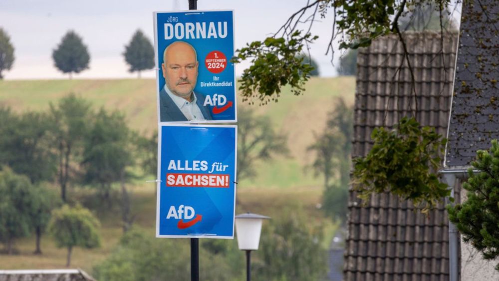 Zwiebelfarm in Belarus: AfD-Landtagsabgeordneter soll inhaftierte Oppositionelle beschäftigt haben