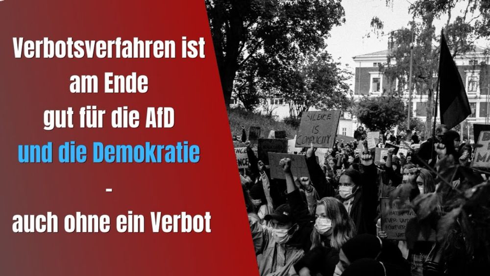 Verbotsverfahren ist am Ende gut für die AfD und die Demokratie - auch ohne ein Verbot