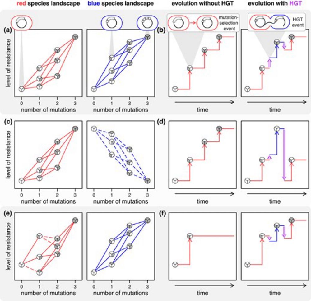 Evolutionary “Crowdsourcing”: Alignment of Fitness Landscapes Allows for Cross-species Adaptatio...