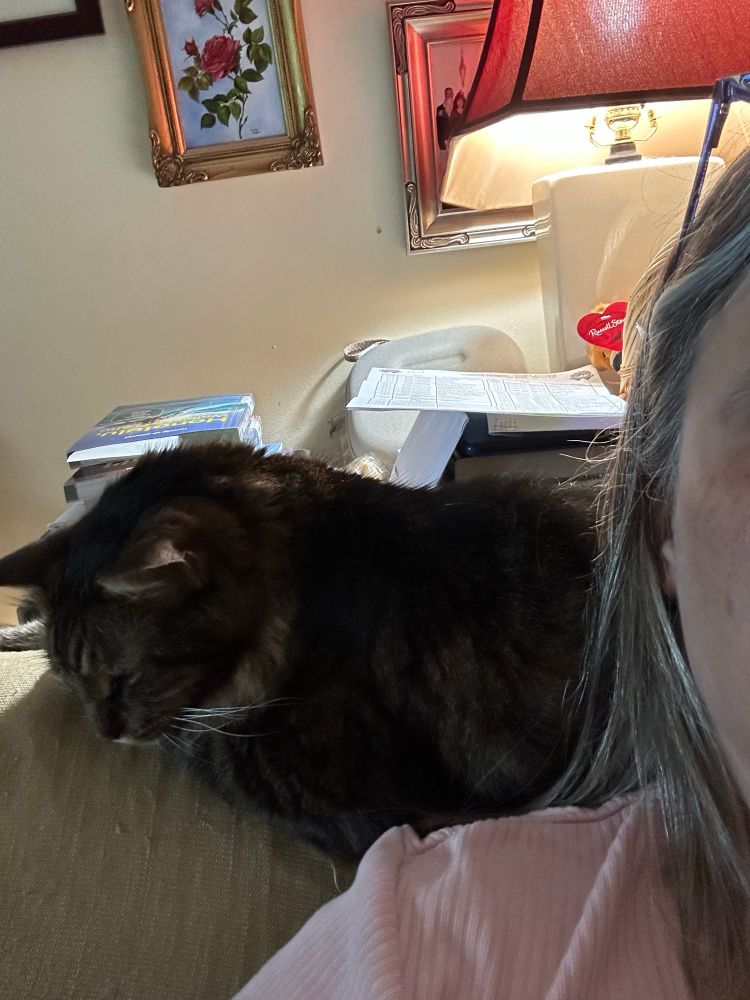 A brown cat on the arm of the couch, with my head resting against his back