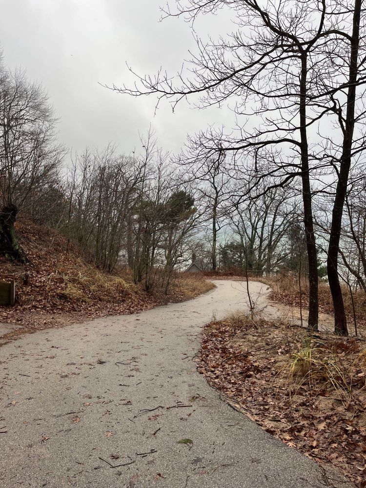 Winding wet gravel road ascending a hill next to the lake
