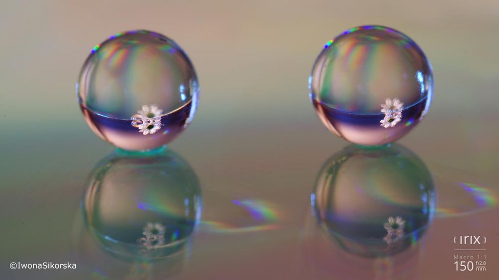 เผยโฉมศิลปะแห่งการถ่ายภาพมาโครด้วยเลนส์ Irix 150mm