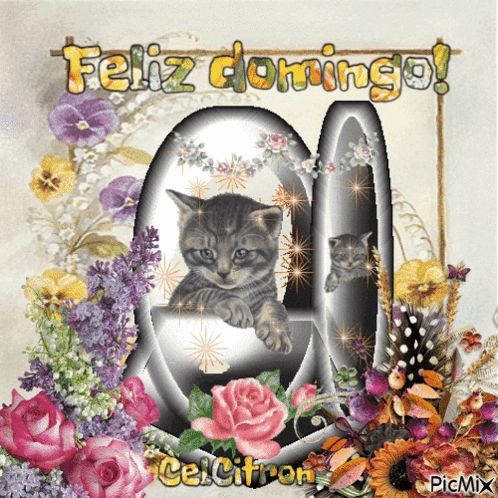 a picture of a cat with the words feliz domingo